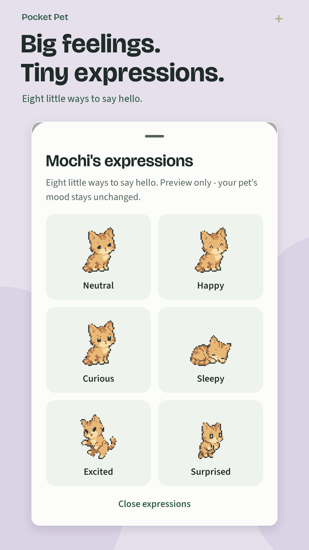 Pocket Pet - Mochi screenshot 5